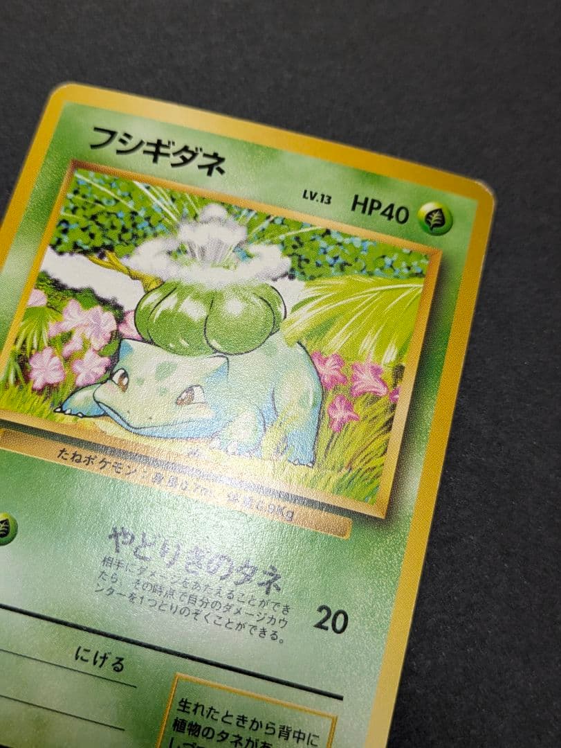 こ*た様 ポケカ 旧裏 御三家 マーク無し 初版 ノーマルカード