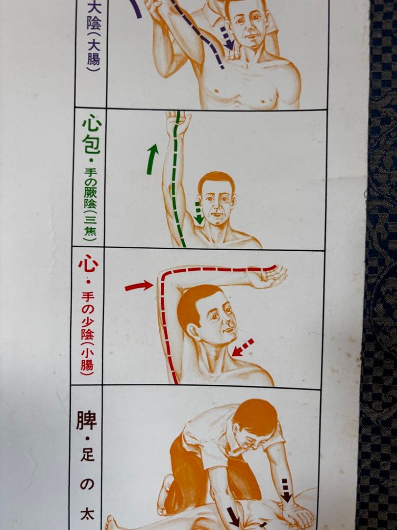増永静人 経絡指圧診断治療要図 掛け軸 125cm 医療図 ヴィンテージ