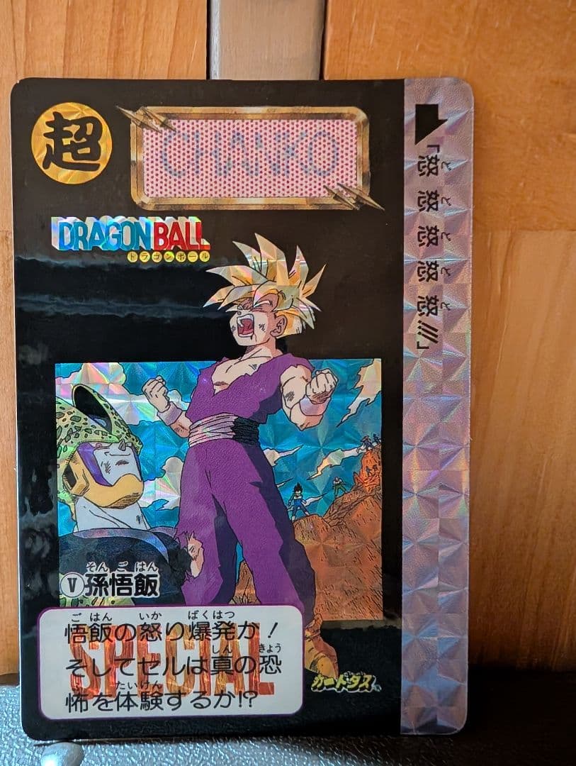 ドラゴンボール めちゃんこプロジェクト 【CHANKO】