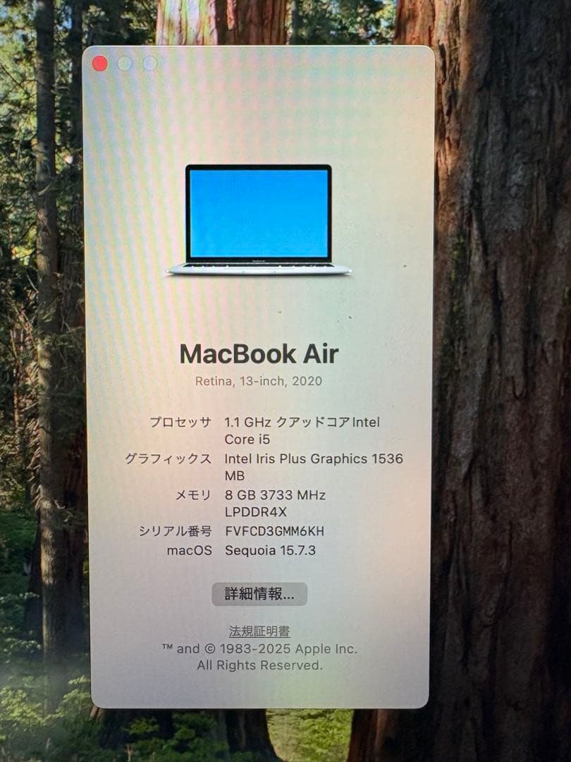【付属品完品・美品】MacBook Air 2020 Retina 13インチ
