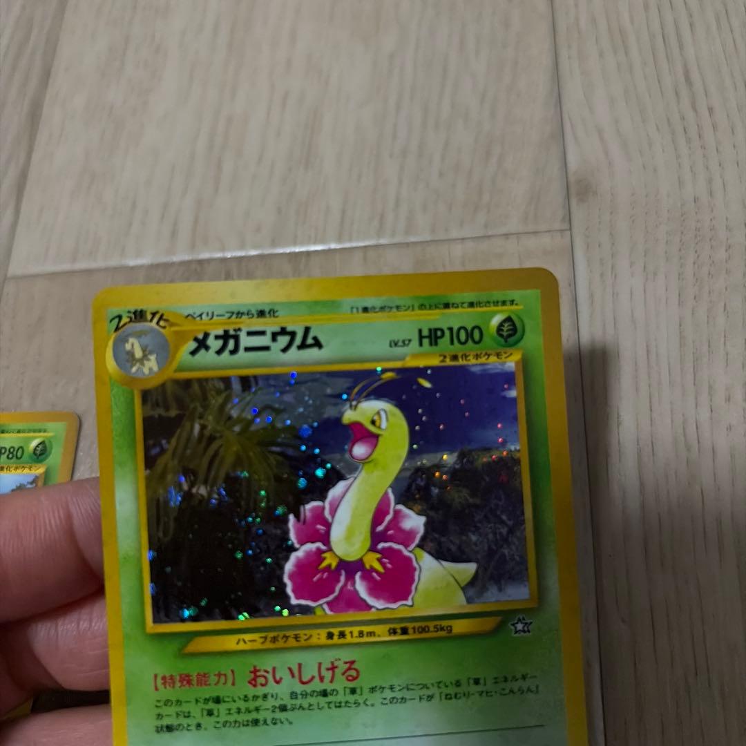 旧裏 ポケモンカード チコリータ進化ライン（メガニウムキラ）3枚セット