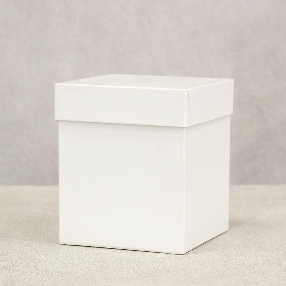 八雲塗 茶器 棗 茶道具 工芸品 栞付 共箱