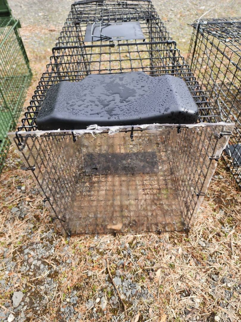 猫用捕獲器 ダブルドア 　3個セット　地域猫　保護猫