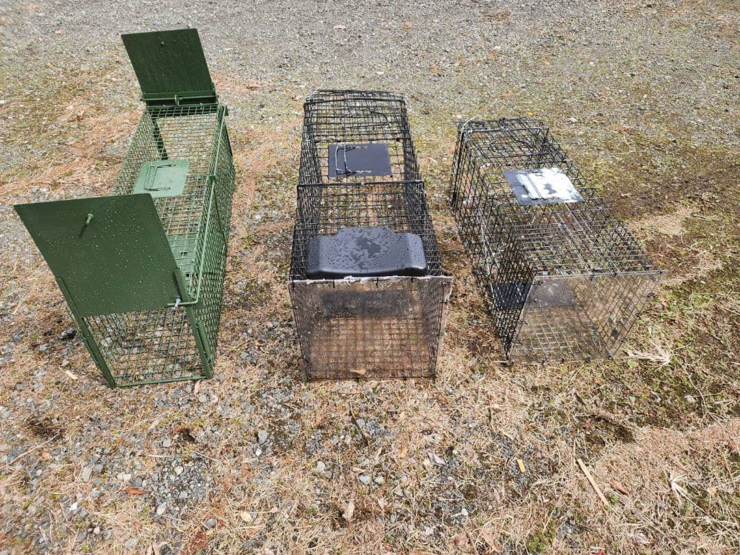 猫用捕獲器 ダブルドア 　3個セット　地域猫　保護猫