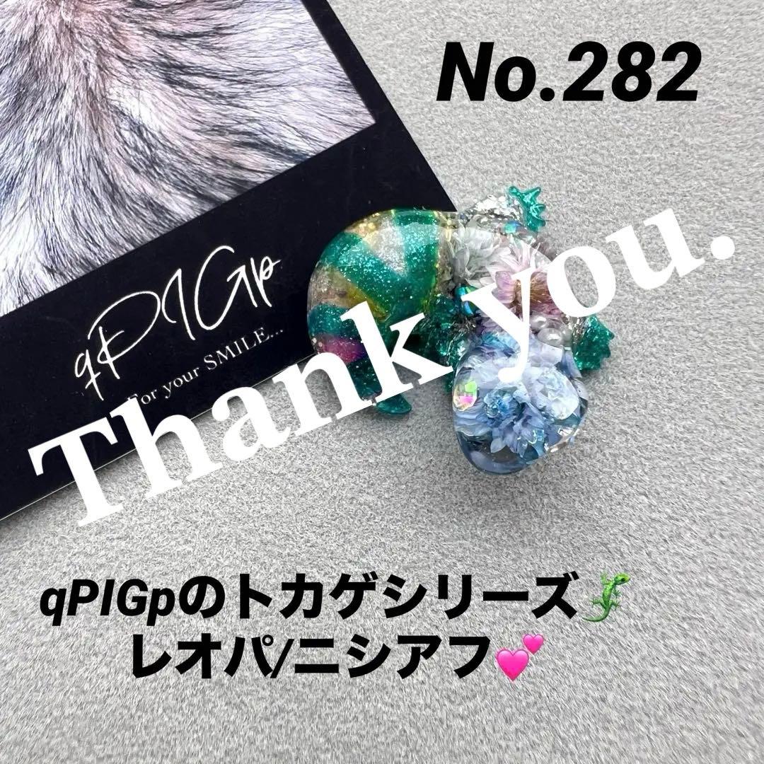 No.282 レオパ ニシアフ ヤモリ トカゲ ヒョウモントカゲモドキ