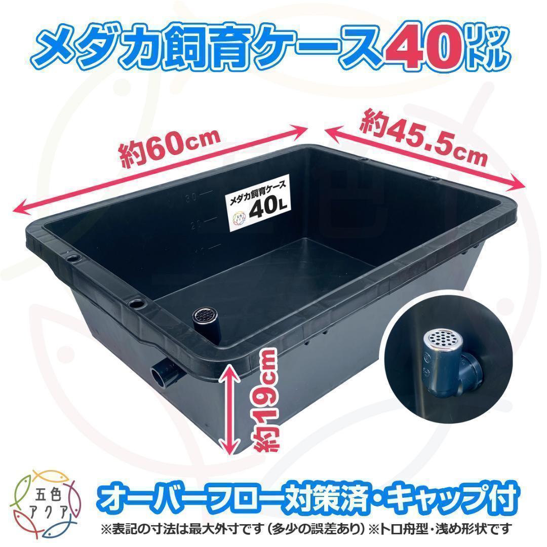 メダカ飼育ケース 40㍑x3個 オーバーフロー対策済 トロ舟 金魚飼育容器