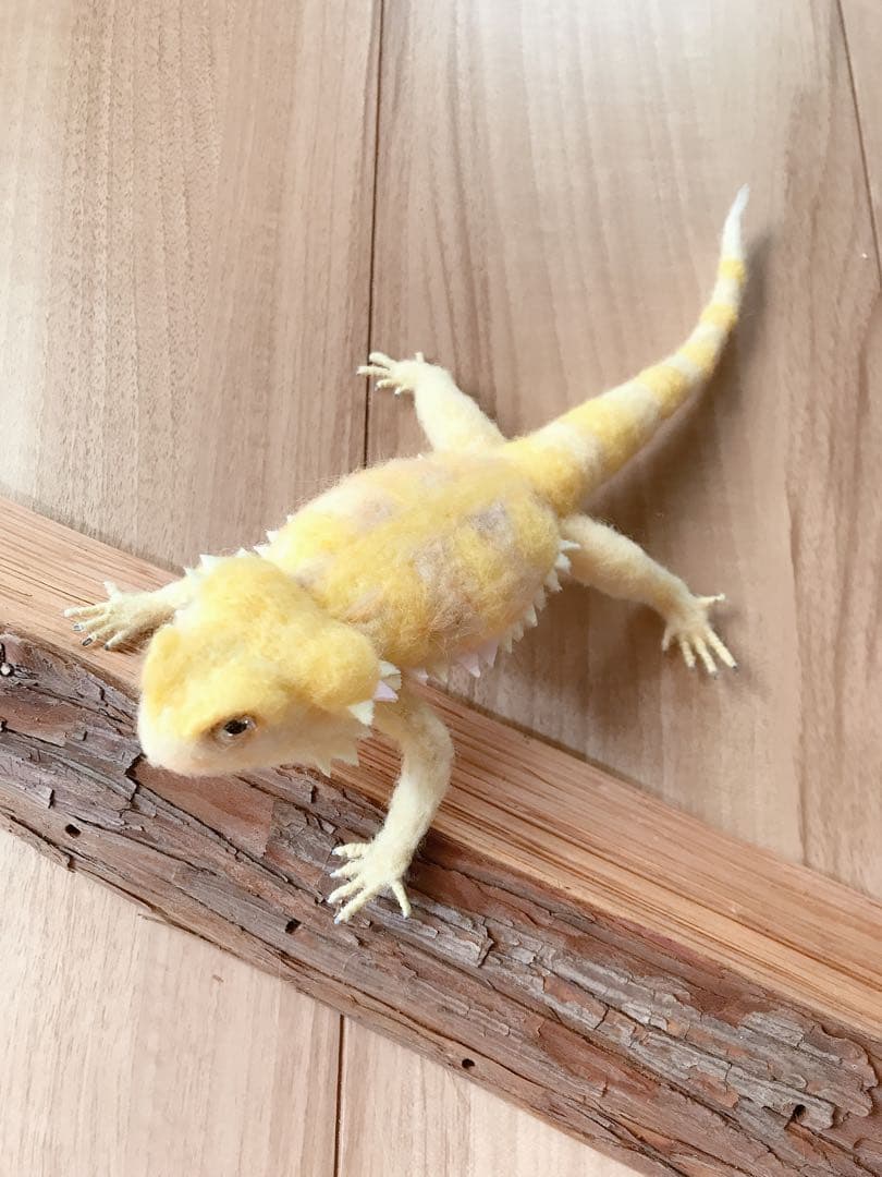 フトアゴヒゲトカゲ　イエロー