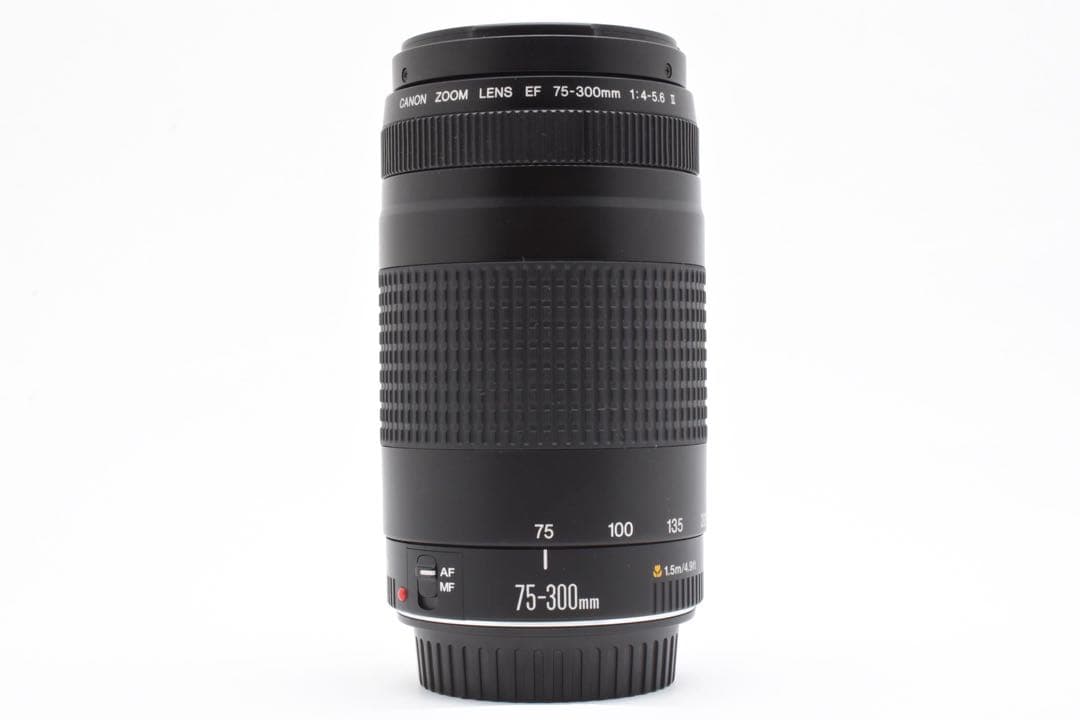 デジタル一眼レフカメラCanon EF 75-300mm F4-5.6 II