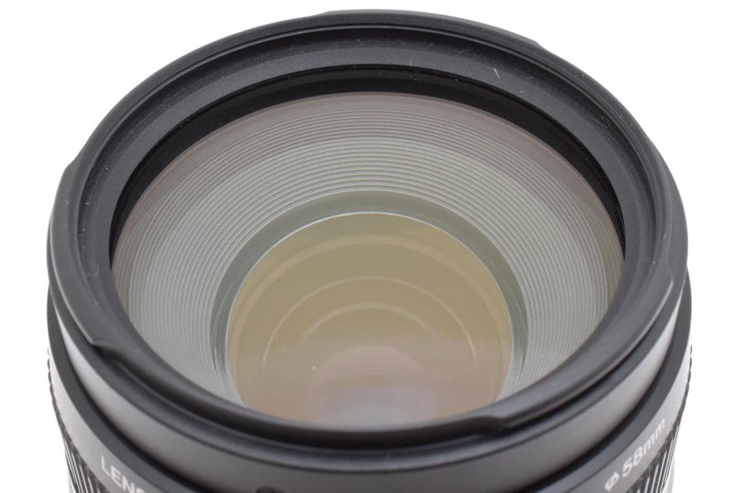 デジタル一眼レフカメラCanon EF 75-300mm F4-5.6 II