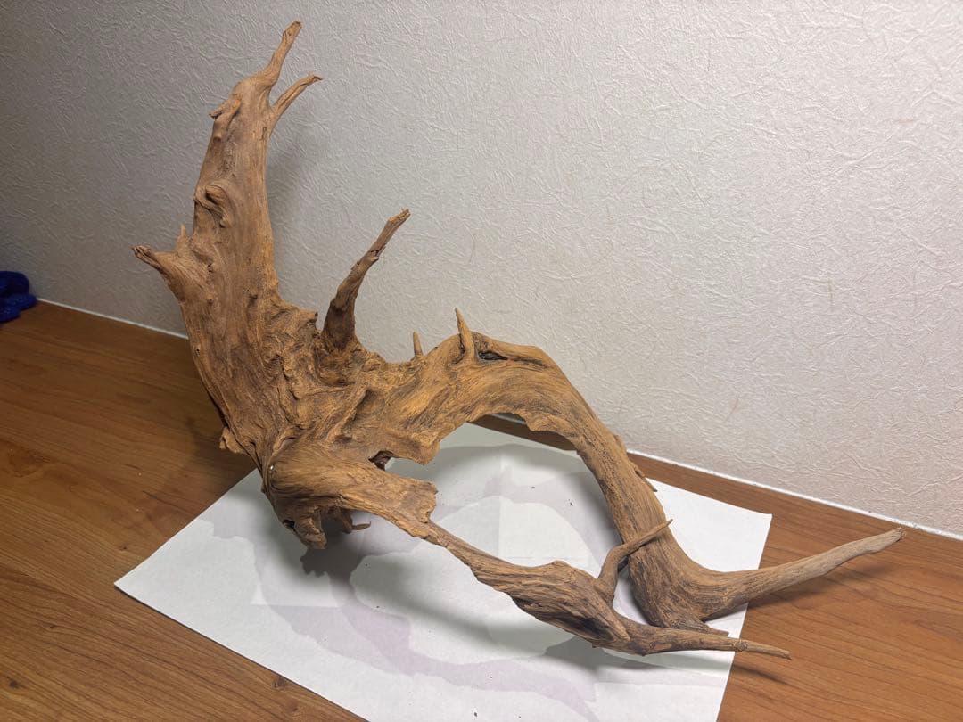 天然流木 約45cm x 30cm x 20cm