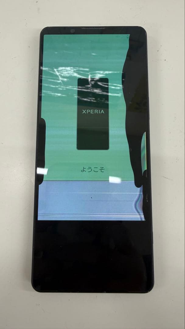 Sony Xperia 1Ⅴ SOG10