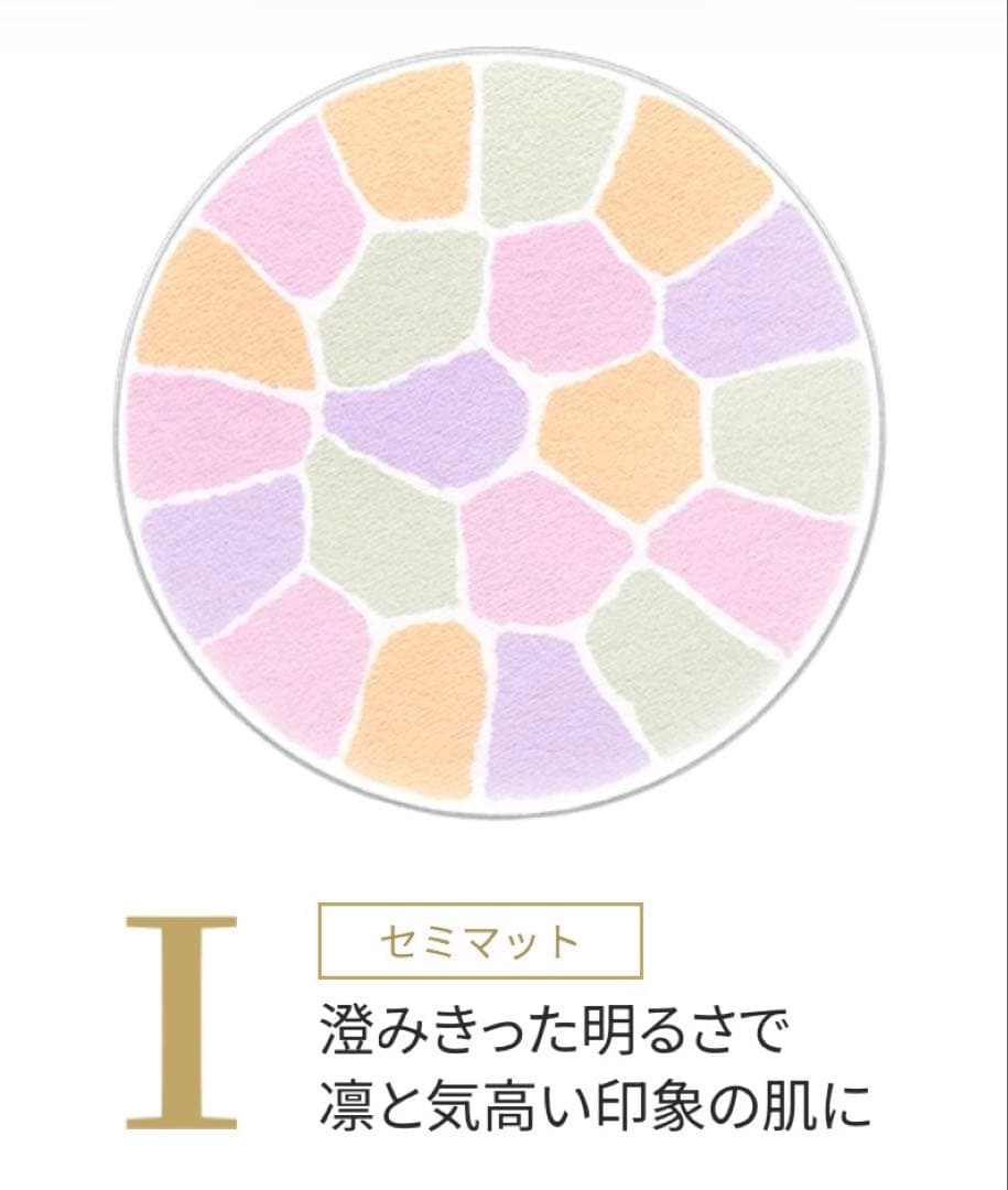 ❗️週末限定値下げ中❗️エレガンス ラプードルオートニュアンス　Ⅰ セミマット