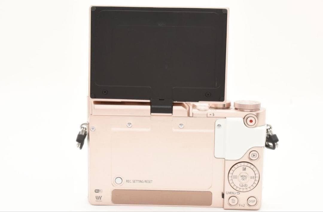 Panasonic LUMIX GF10 レンズセット ミラーレス一眼カメラ