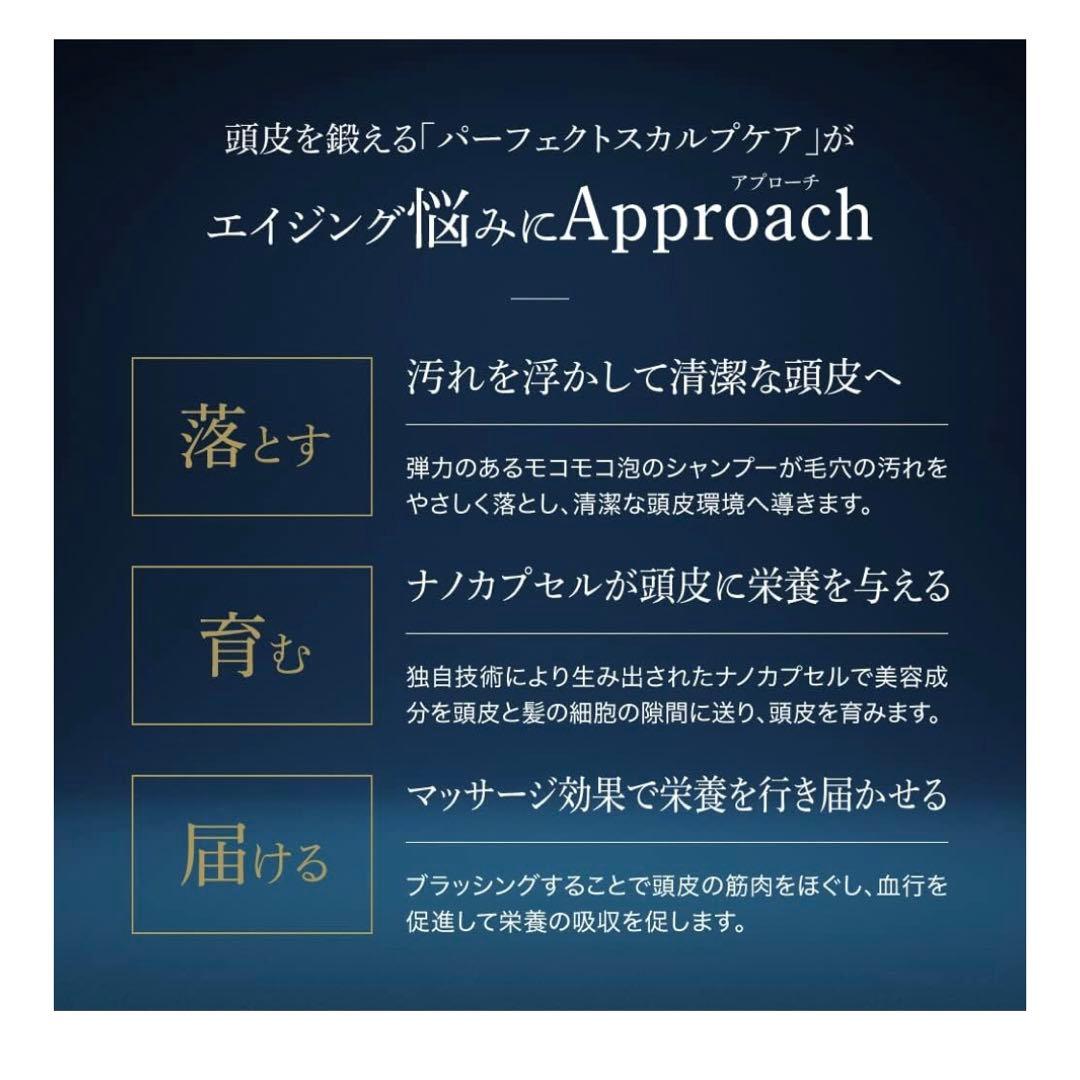 【新品・２点】ARTISTIC＆CO. ザ ブラシュ　トリートメント 400ml
