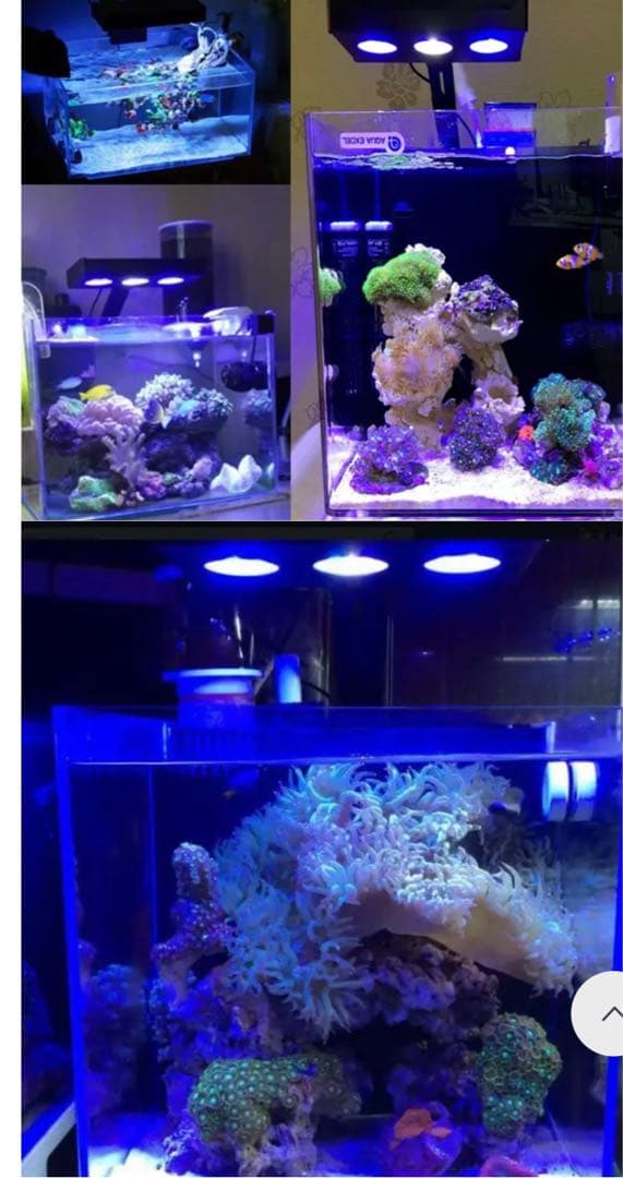 機器nano 水族館ライト52W,サンゴ礁水槽用のタッチコントロール付き