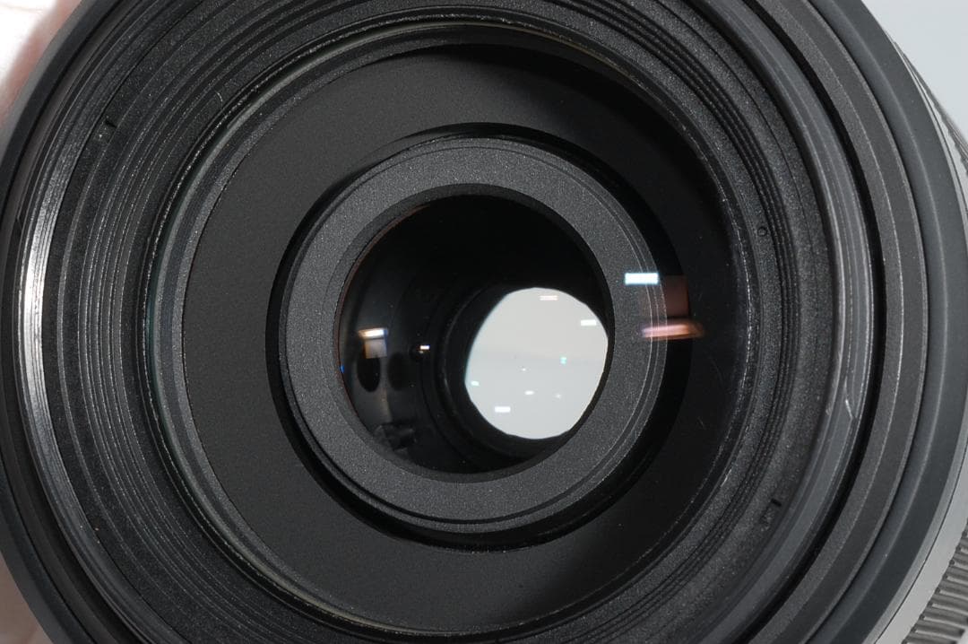 SONY DT 55-200mm F4.5-5.6（SEL55210）極美品