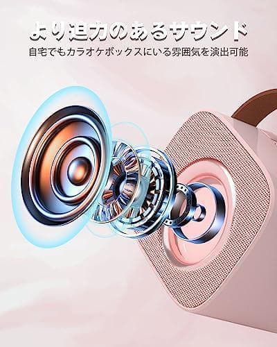 カラオケセット マイクセット２本  家庭用カラオケ　ポータブルスピーカー
