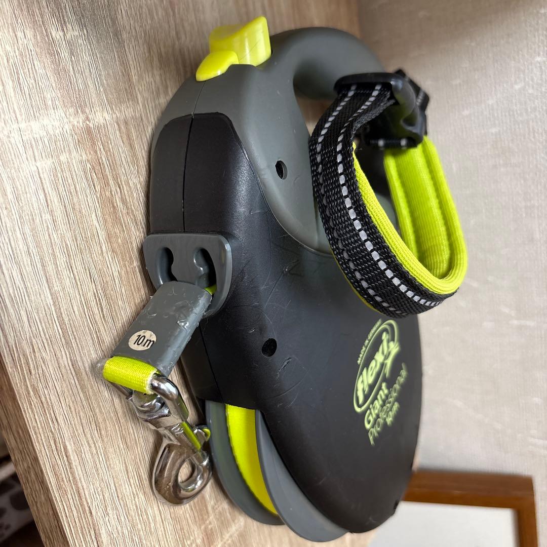flexi Giant Professional 10m リード