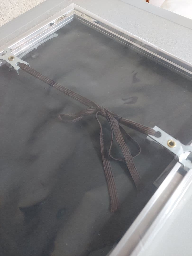 池田満寿夫 「夏の女」 美術品　アート　希少　レア　作品
