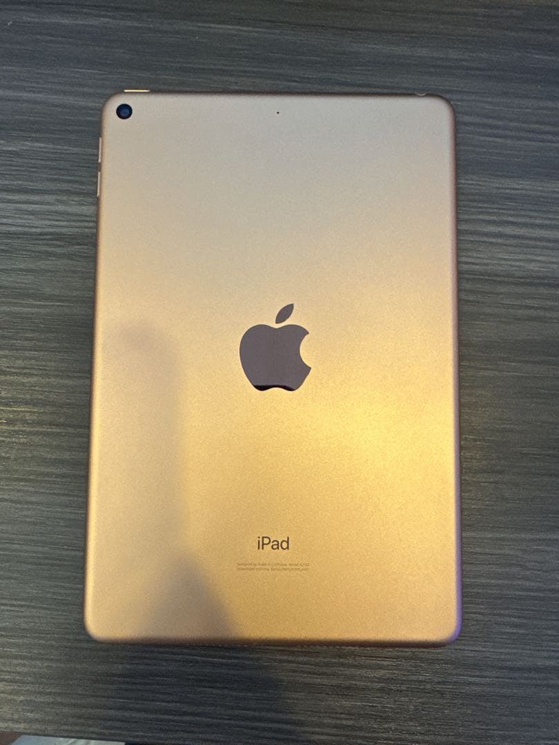Apple iPad mini 第5世代 ピンクゴールド 256GB