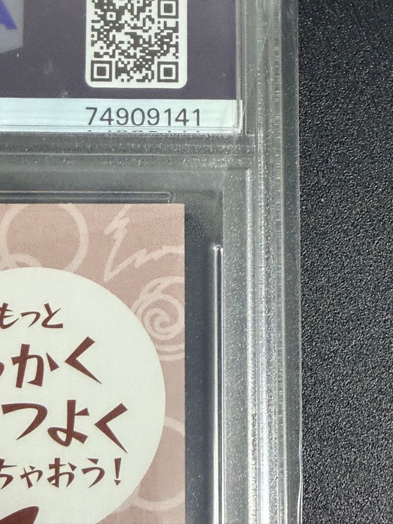 PSA10 ポンチョを着たピカチュウ　名刺カード メガリザードン Y ポンチョ