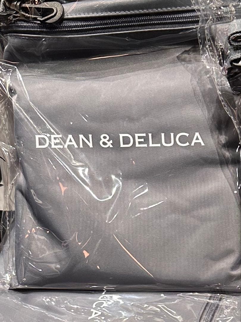 数量限定 DEAN & DELUCA トラベルバッグ チャコールグレー