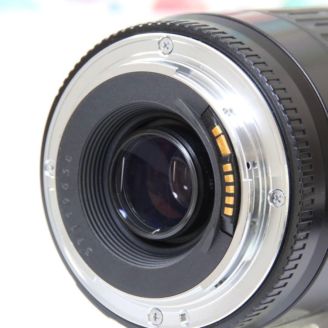 ♥︎◇Canon 75-300mm USM ◇純正望遠レンズ ◇遠くバッチリ♪