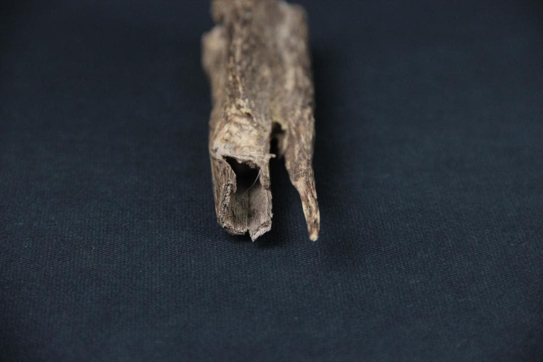 天然 沈香 16.4g 美品 香木 聞香用 原材 伽羅系 FFL20-01