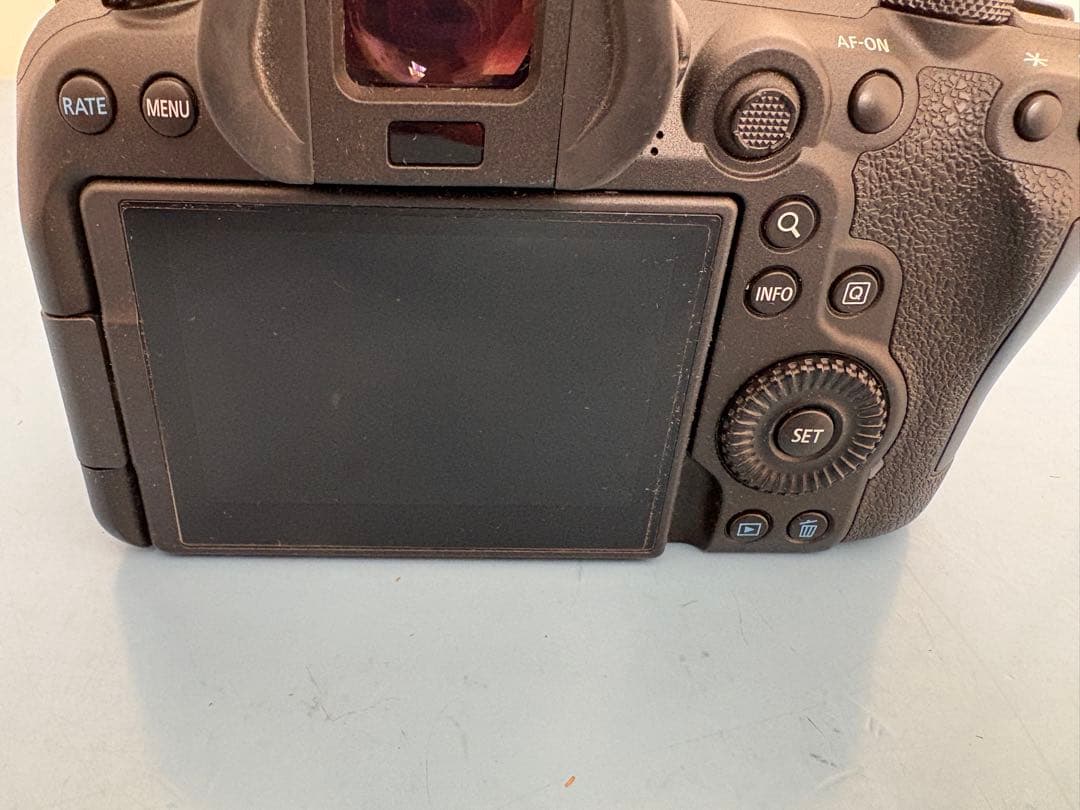 専用　Canon EOS R6 ボディと付属品一式