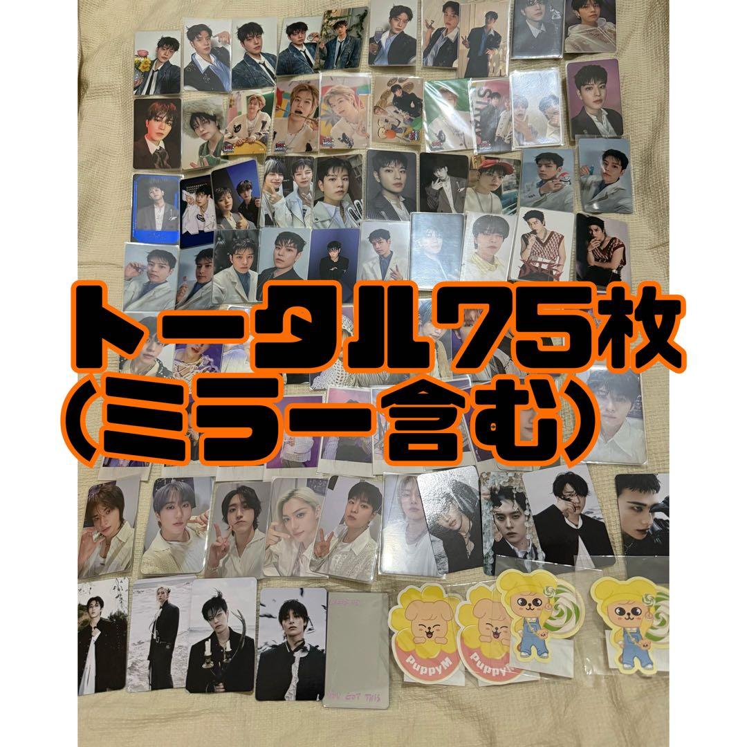 Straykids スンミン 封入 特典トレカ SKZOO グッズ まとめ売り