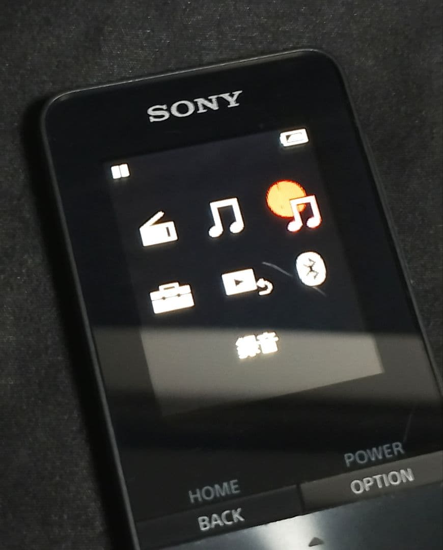 ★極美品 SONY NW-313 4GB MP3 WALKMAN 黒 お早めに