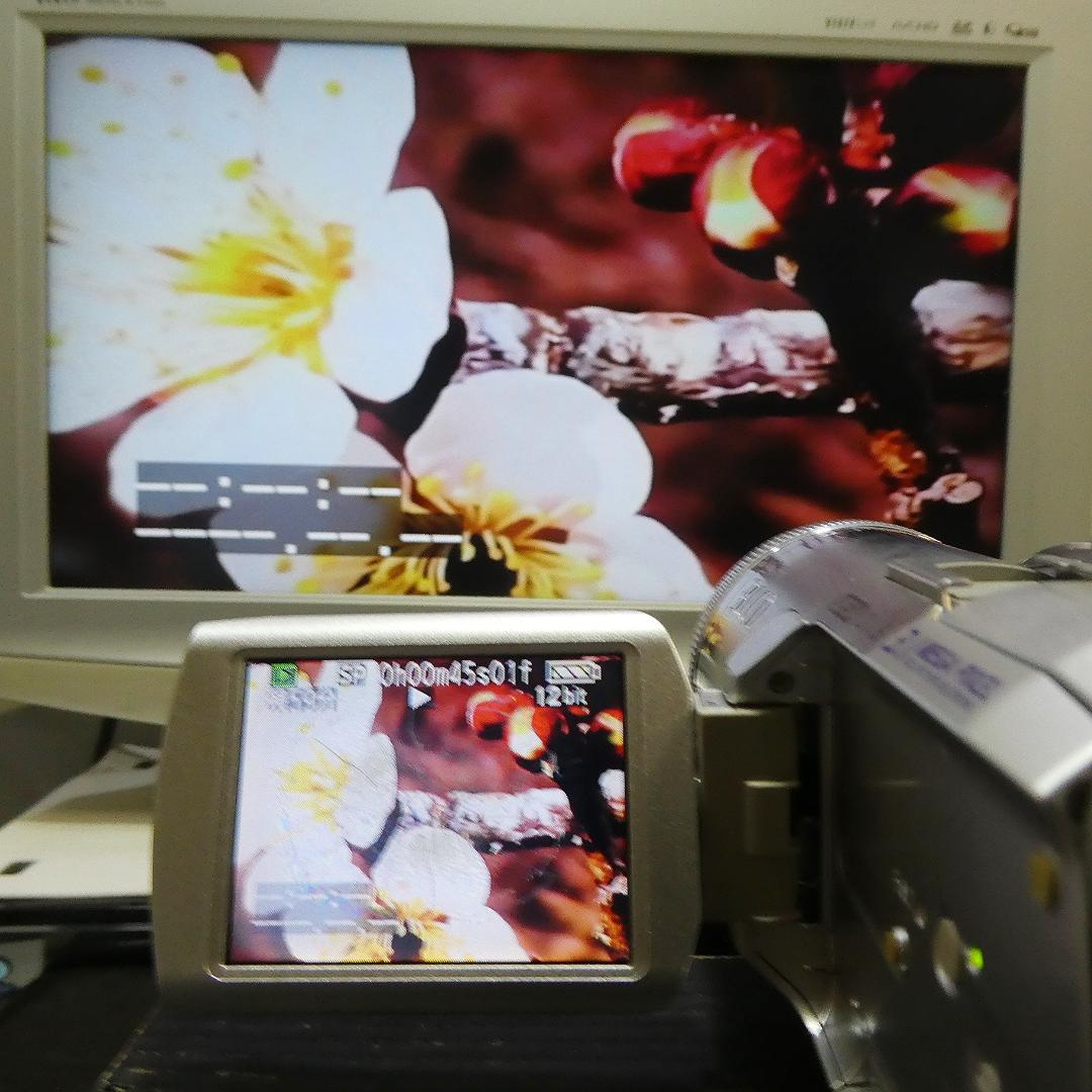 動作良好 パナソニック NV-GS250 MiniDVビデオDVDダビングに最適