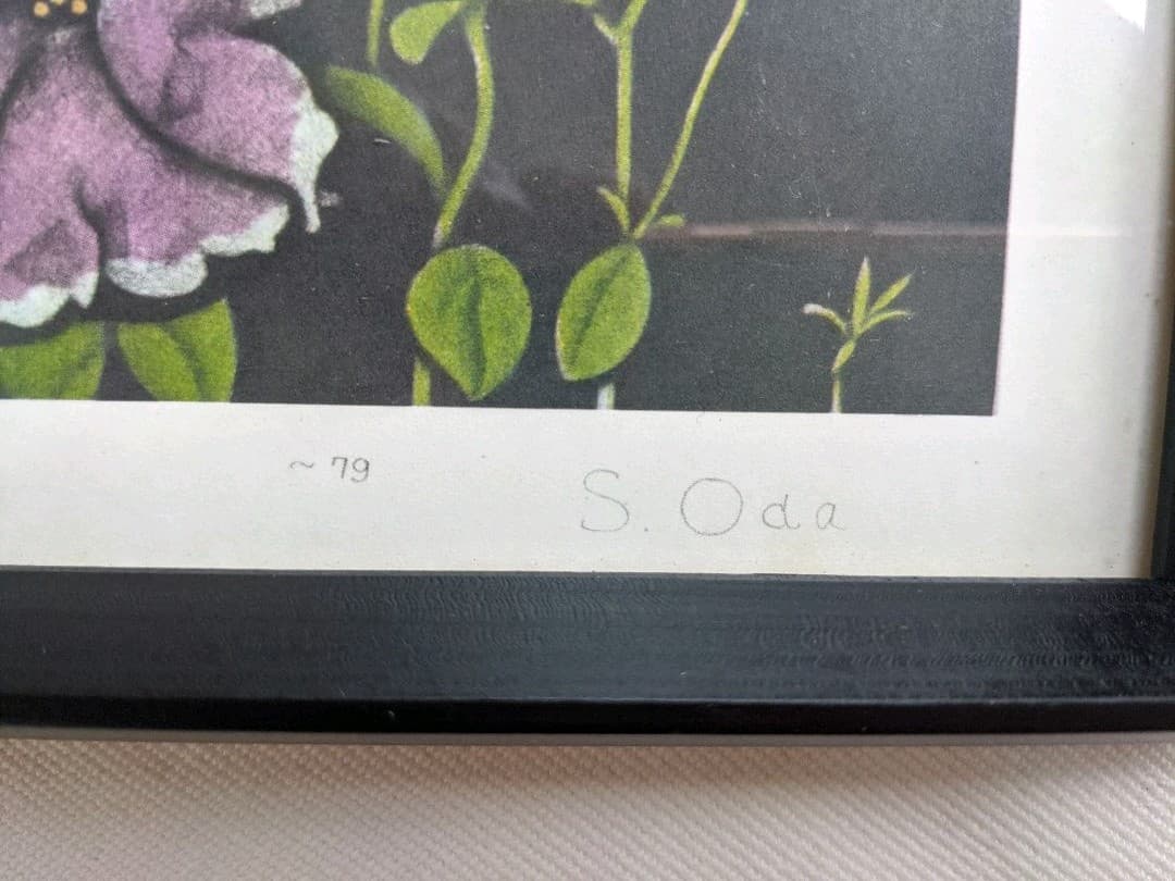 織田繁　版画　ペチュニア　絵画　額