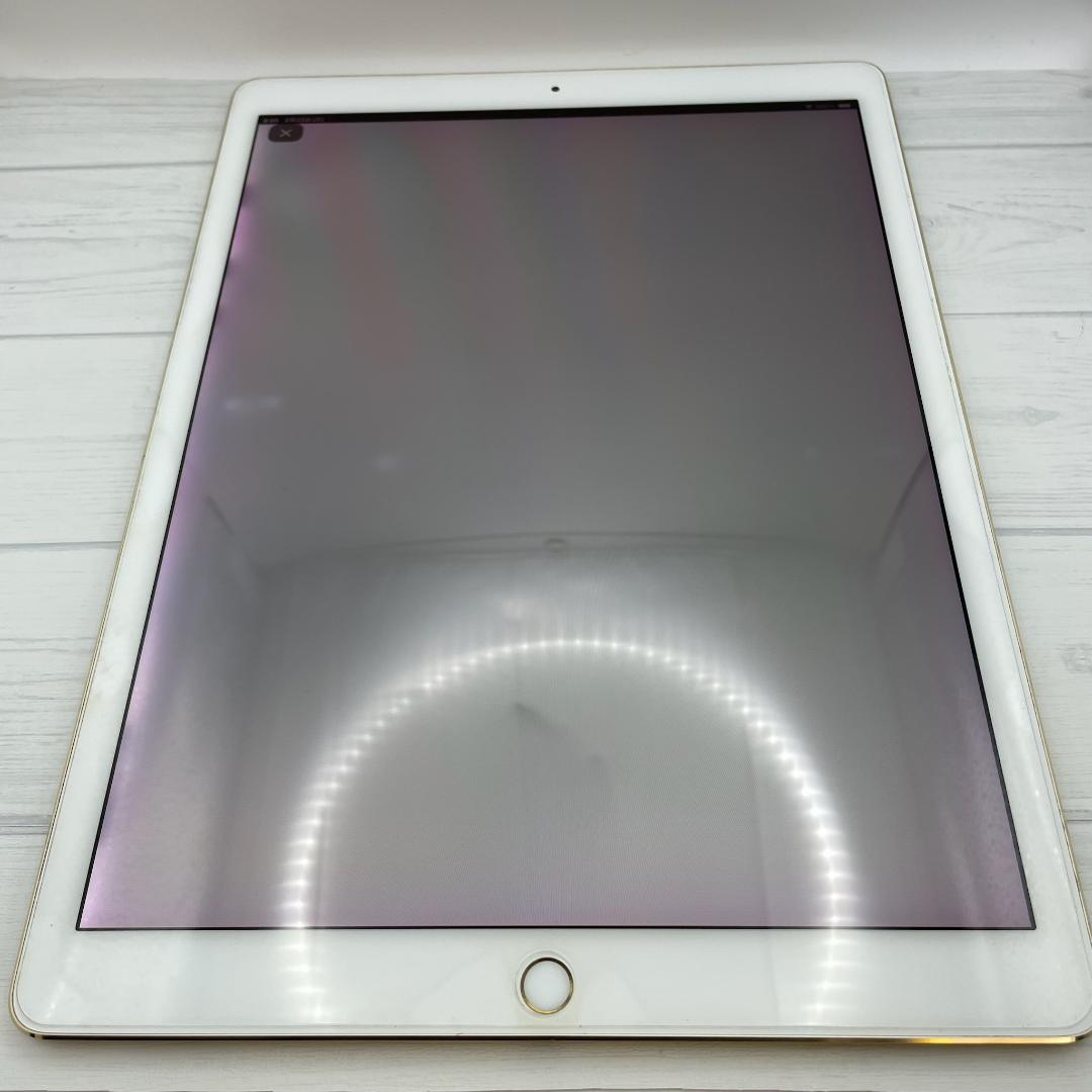 【美品】iPad Pro 12.9 第2世代 ケース＋ペンシルセット