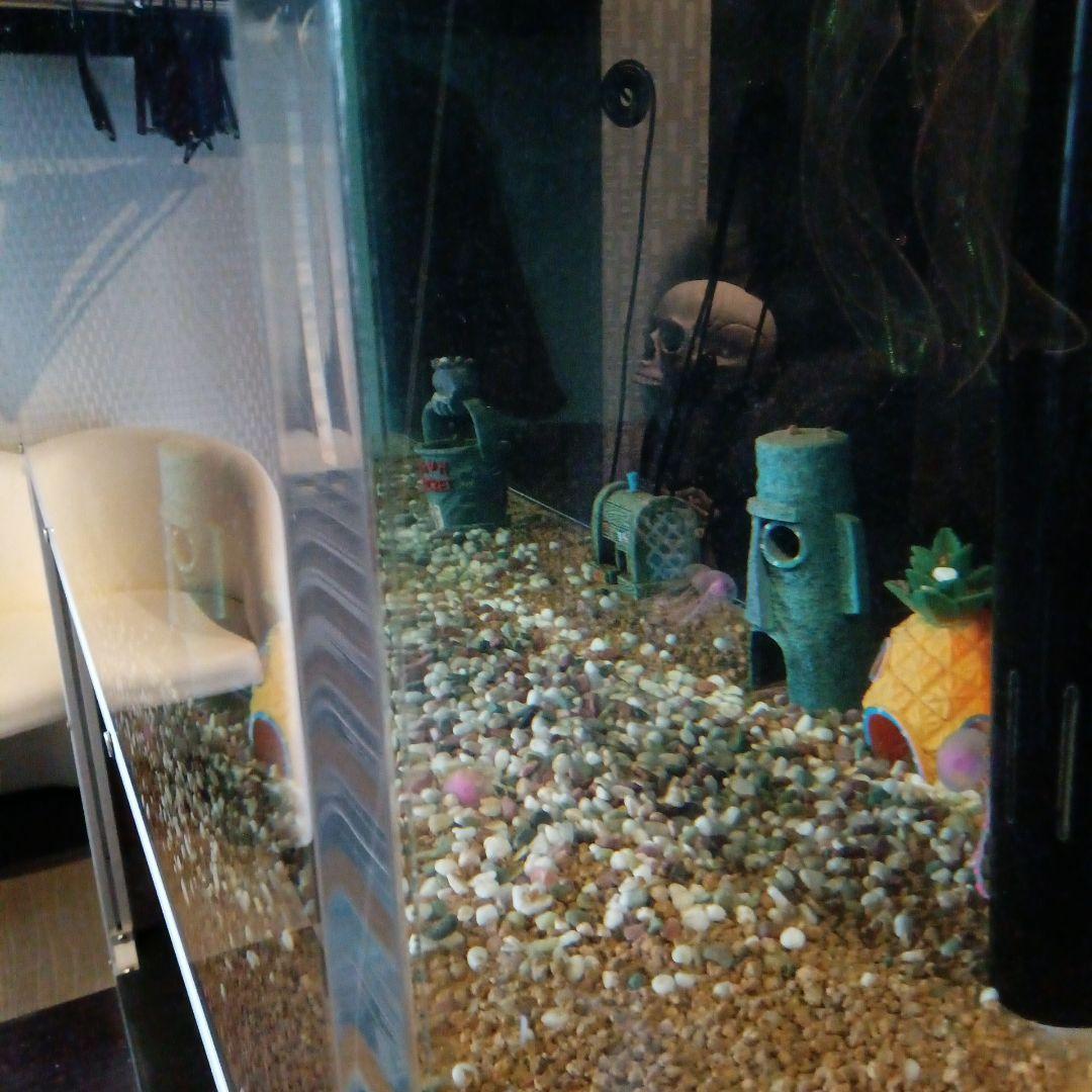 大型アクリル水槽 淡水水槽 150cm