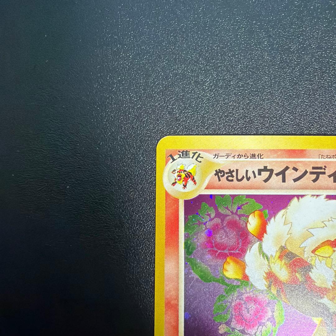 やさしいウインディNo.059 拡張パック第4弾 闇そして光へ… やさしいほのお