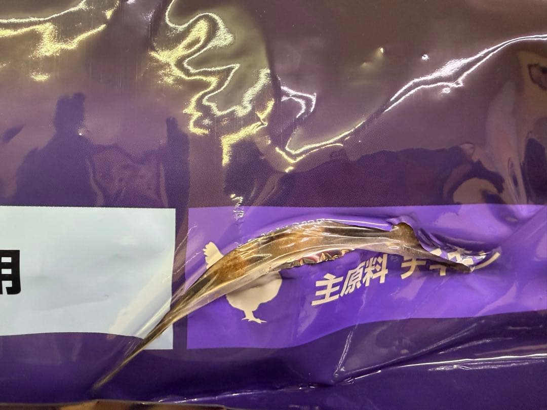 ユーカヌバラージパピー15kgアウトレット品