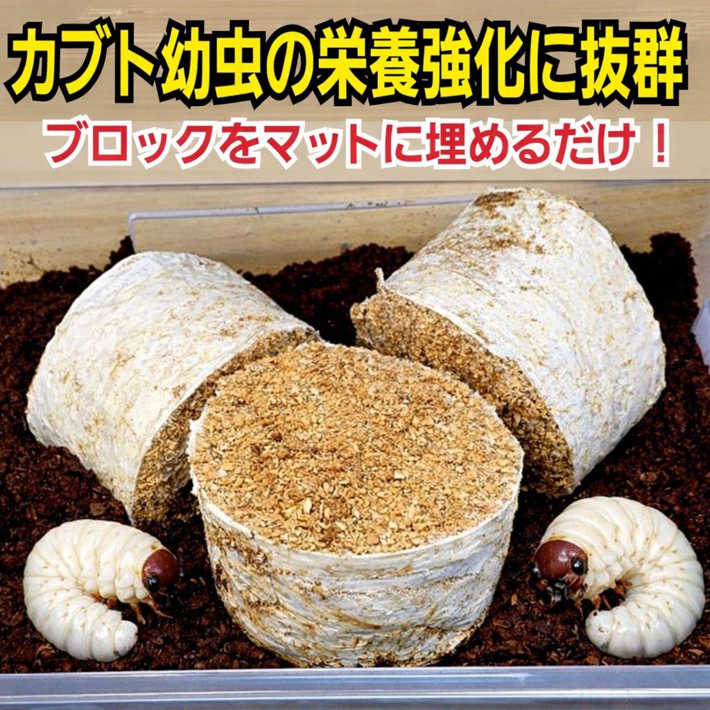 カブトムシ幼虫の栄養強化に！オオヒラタケ菌床【15ブロック】クワガタの産卵にも！