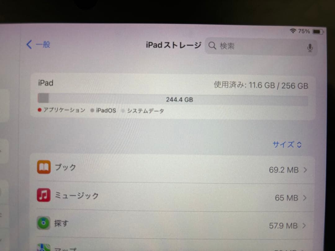 iPad pro 第2世代 12.9 256GB Apple Pencil付