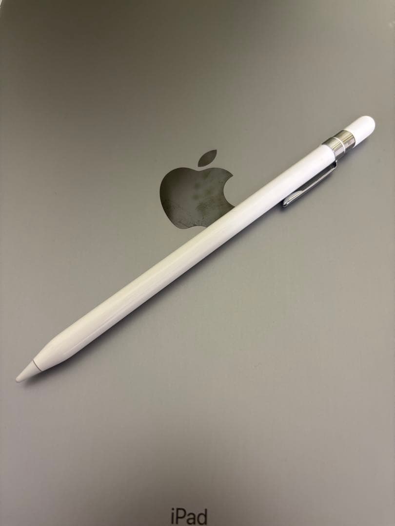 iPad pro 第2世代 12.9 256GB Apple Pencil付