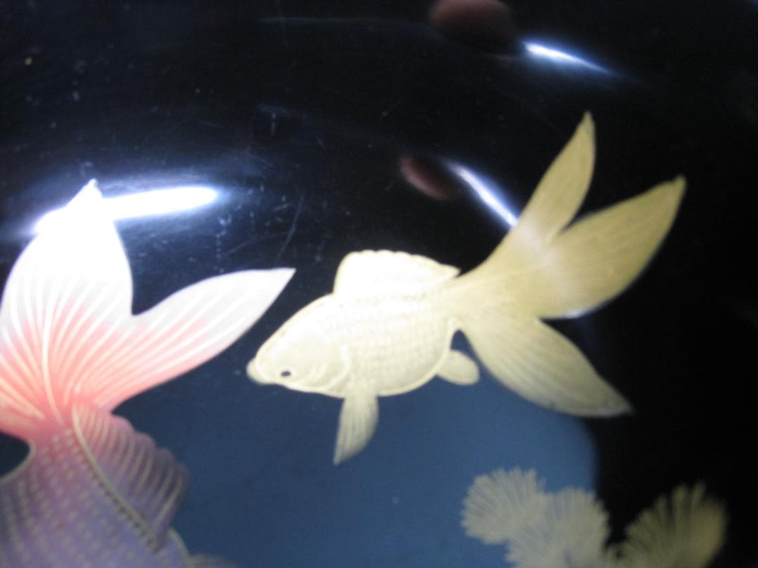 輪島塗　　金魚文杯洗