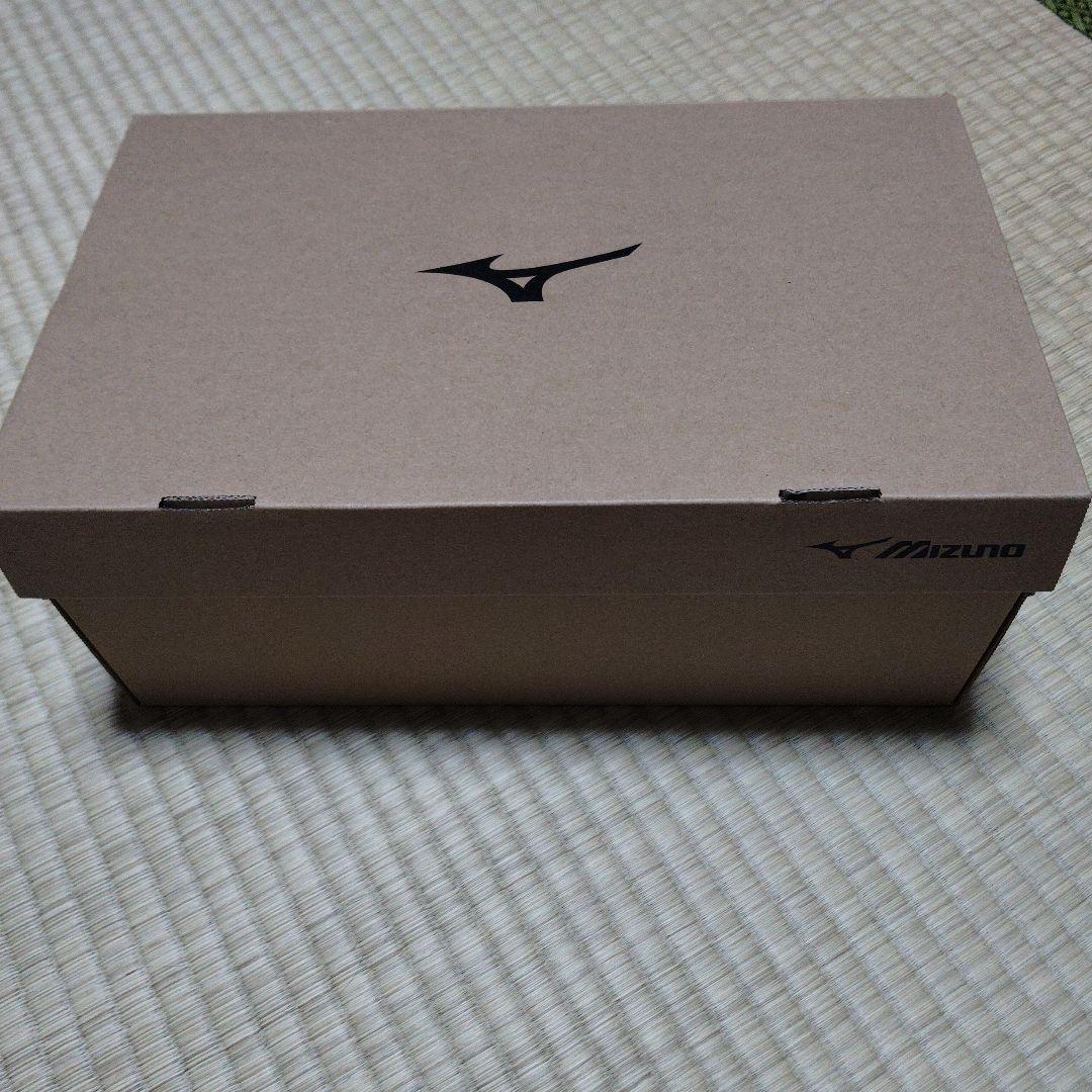 Mizuno AL-Mighty LS121M 安全靴 24.5cm