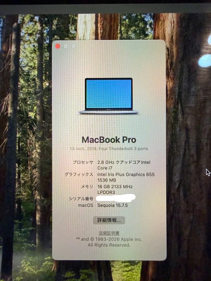MacBookPro201913インチ1TB/Corei7/16GB/A1989