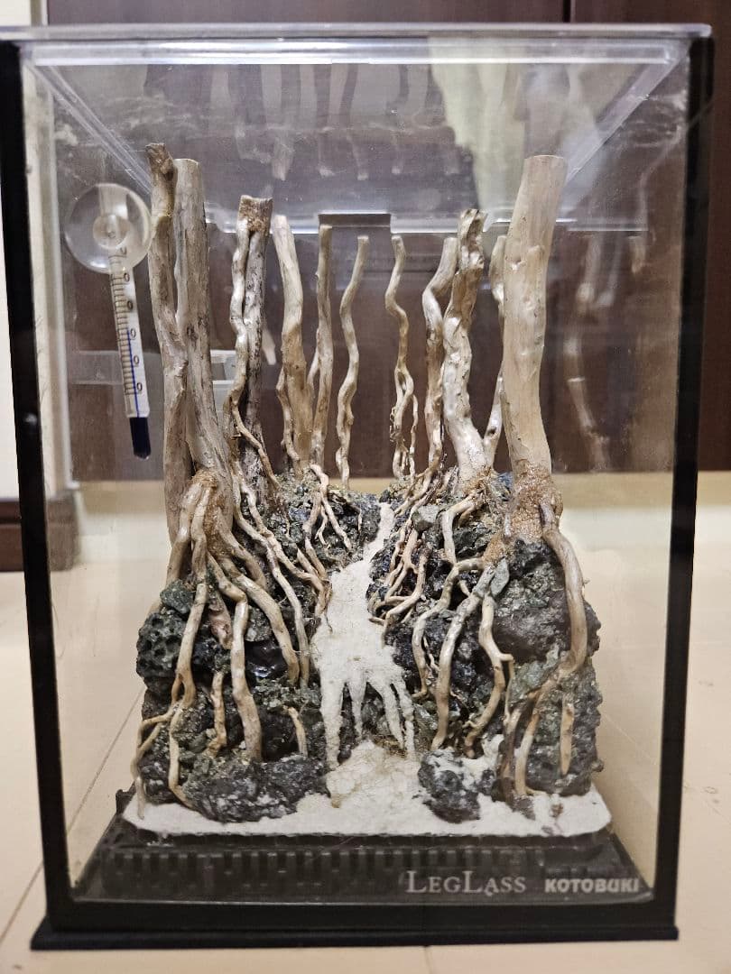 LEG Lass 水槽セット 15cm　自然レイアウト ベタ用