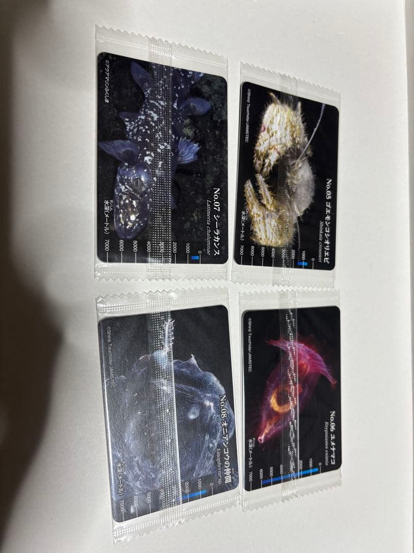 深海魚フルコンプ19種生物図鑑グミカード