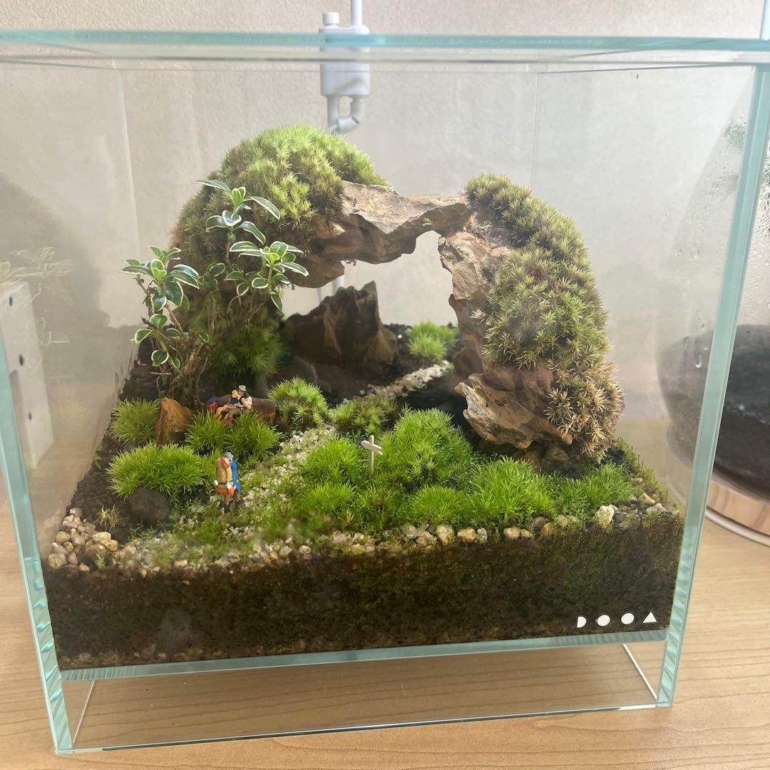 NEO GLASS AIR W20×D20×H20cm DOOA