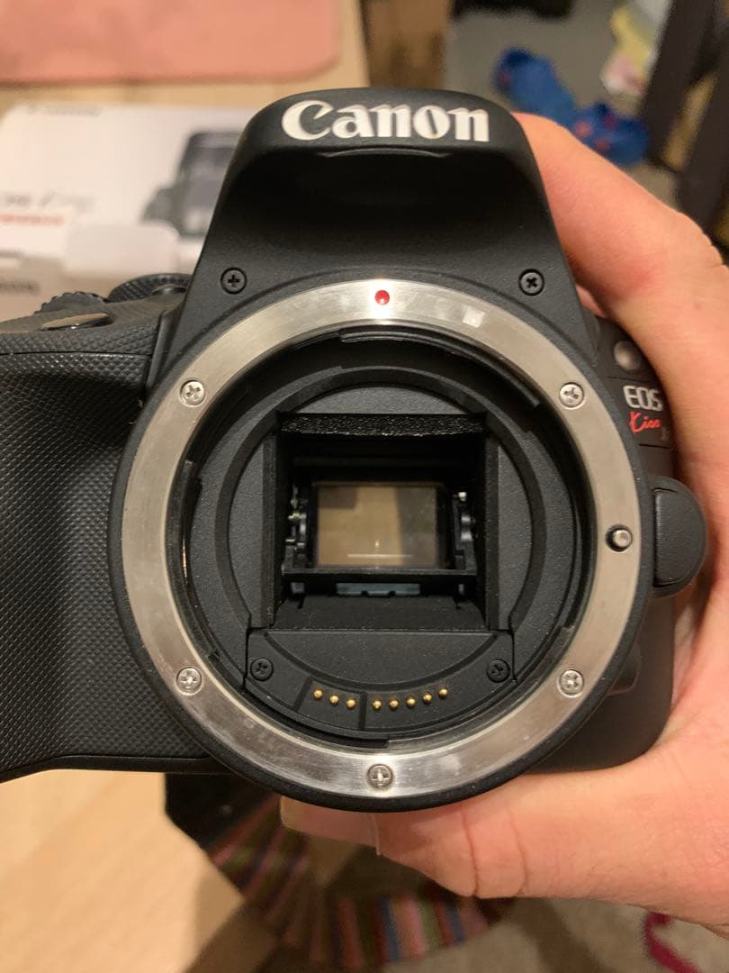 Canon EOS Kiss X7 本体とレンズ2本セット