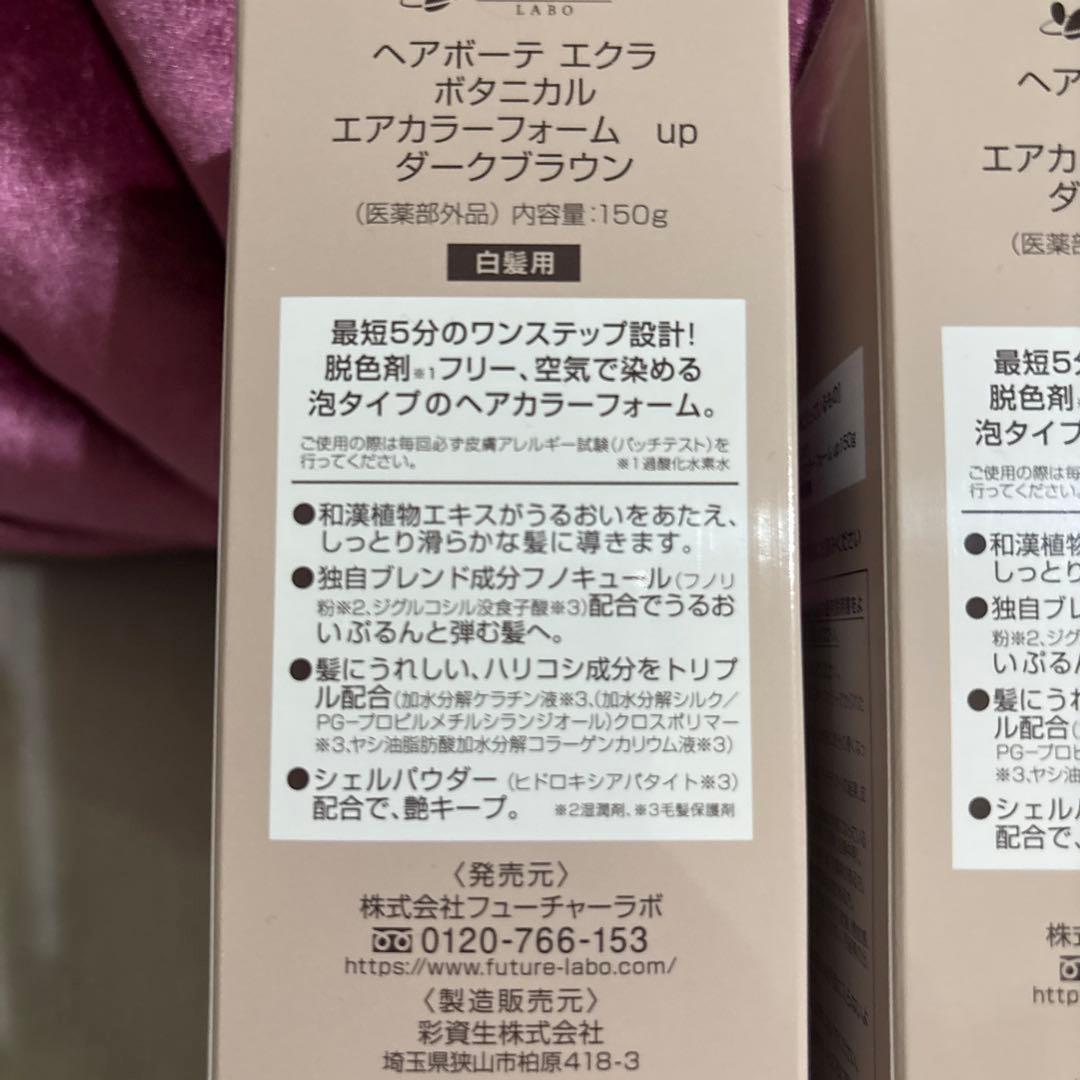 新品未使用エクラ　ボタニカルエアカラーフォームup 2本セット