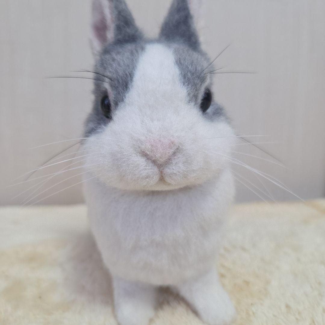 ☆確認用です☆