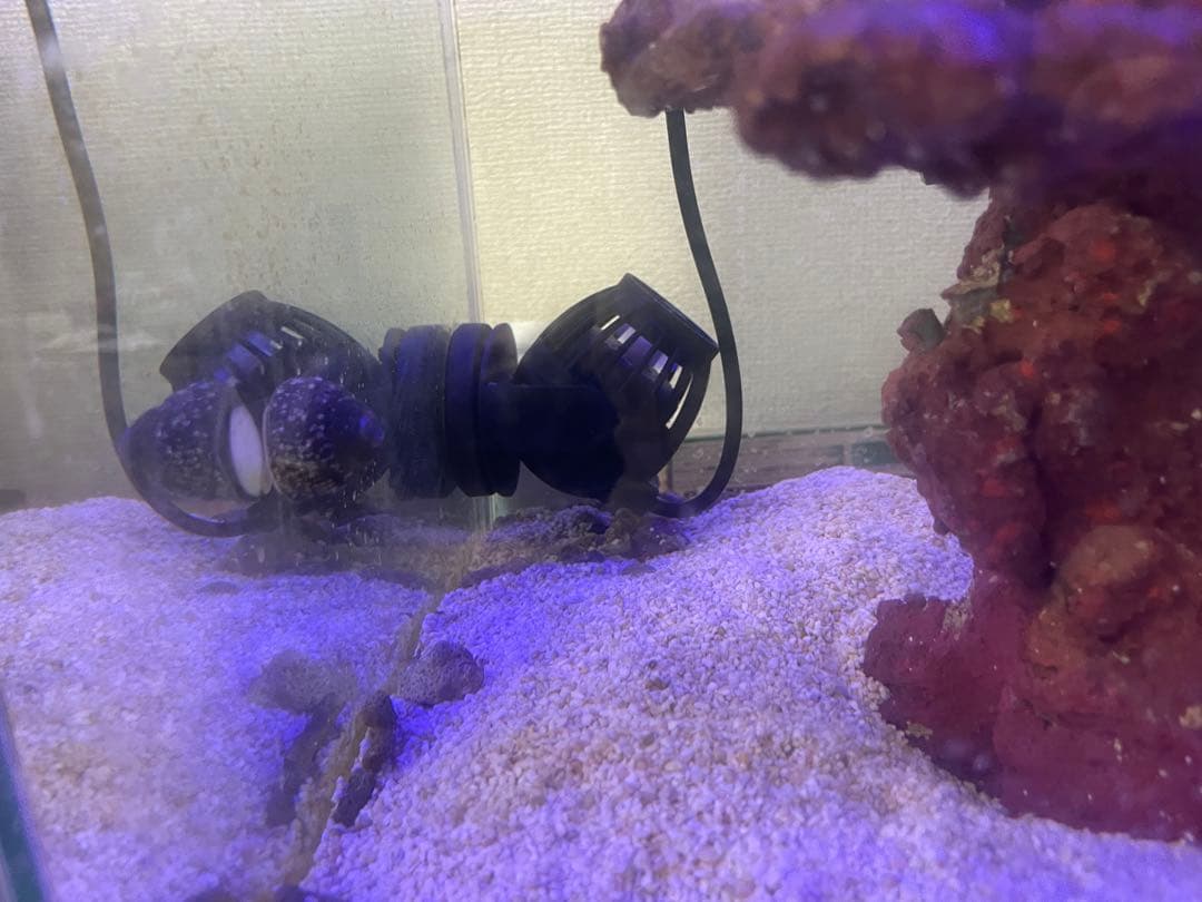ガラス水槽 約60cm 外部フィルター付き